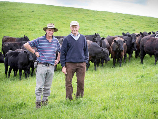 TOUGH COUNTRY GROWS IMPRESSIVE ANGUSPURE CATTLE