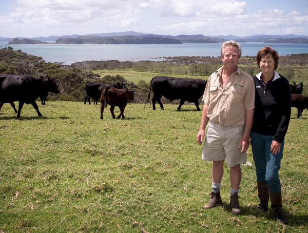 ANGUS BREEDER PROFILE - WAITANGI ANGUS, NORTHLAND