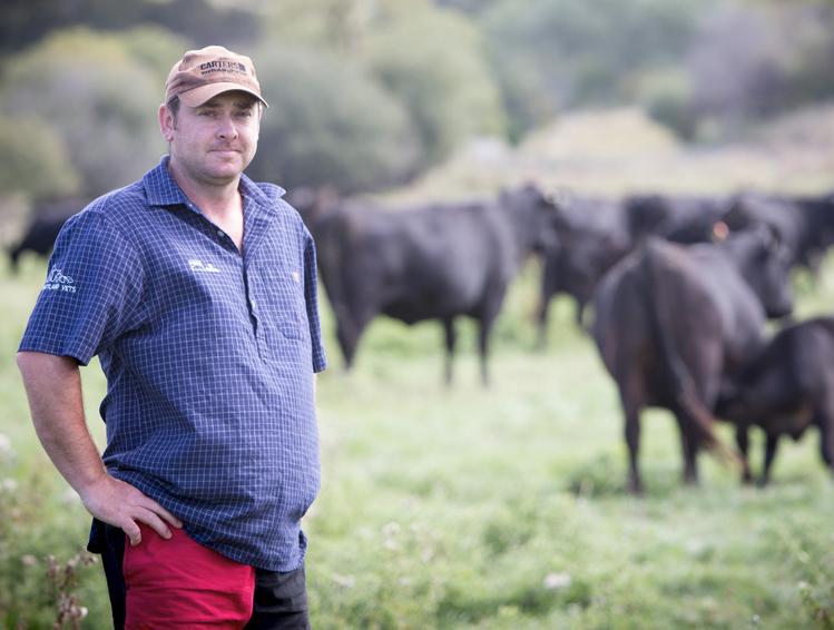 ANGUS BREEDER PROFILE - WHANGARA ANGUS, GISBORNE