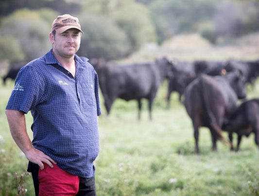 ANGUS BREEDER PROFILE - WHANGARA ANGUS, GISBORNE