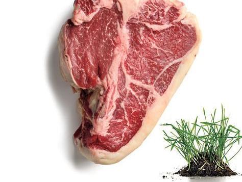 HEALTH BENEFITS OF GRASS FED BEEF